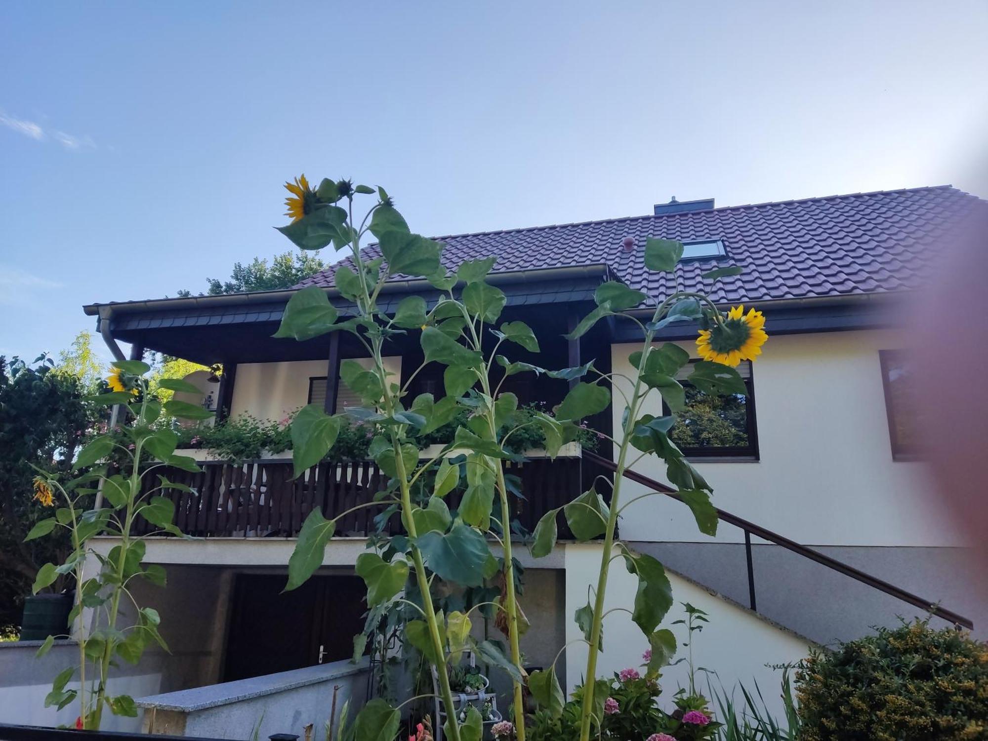 Waldhus Villa Uckeritz Phòng bức ảnh